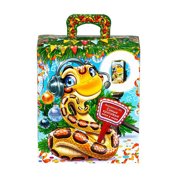 Сладкий новогодний подарок Змейка-Блогер